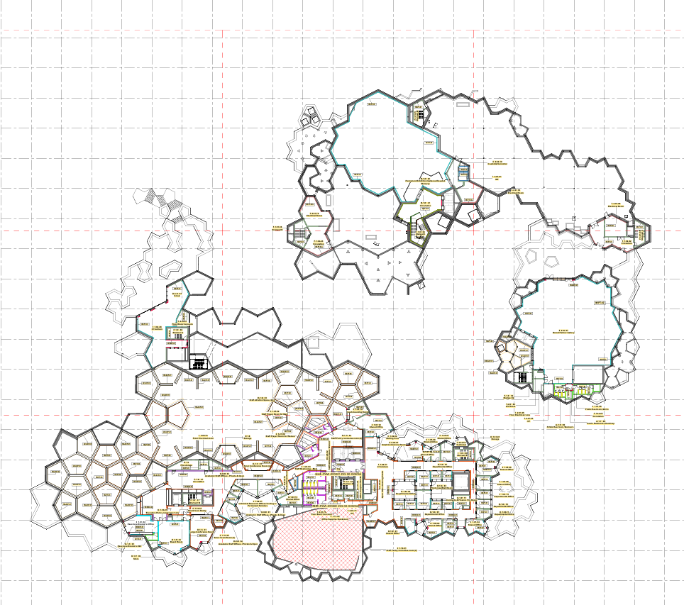 Natural History Museum Abu Dhabi